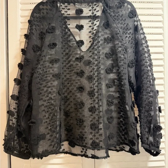 Zara Black Sheer Blouse Size Large - Picture 2 of 3